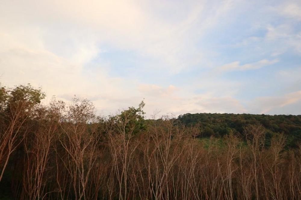 Hill  Lanta 3*