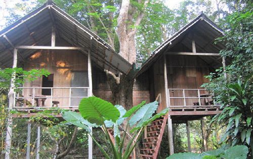 Holiday park Khao Sok Evergreen House