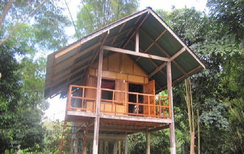 Holiday park Khao Sok Evergreen House