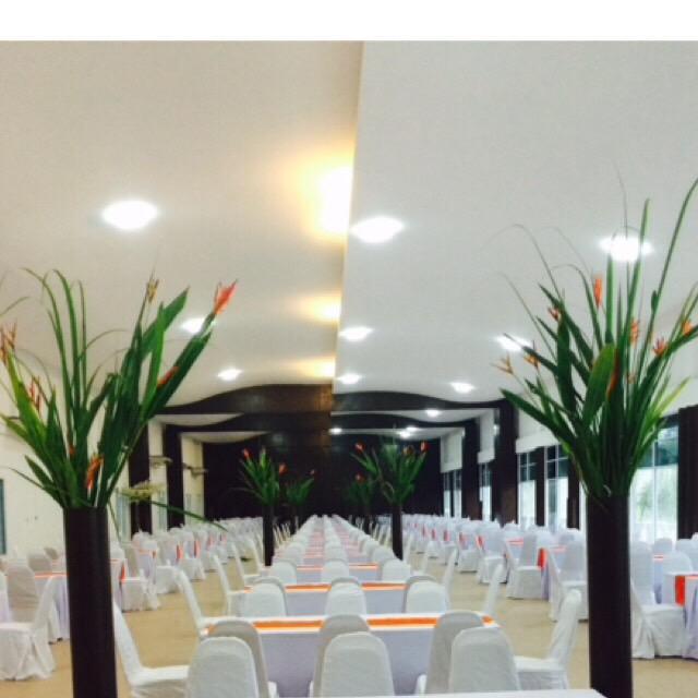 River Nature Resort 3*