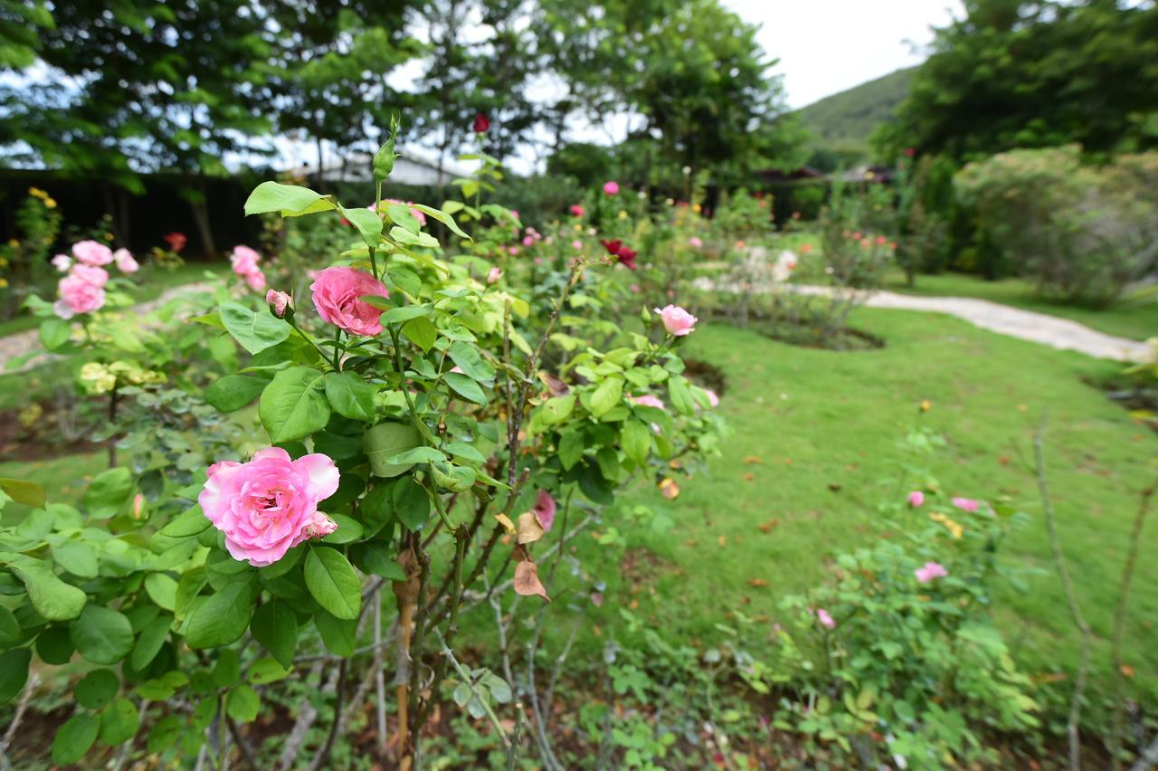 Rose Hotel Pakchong