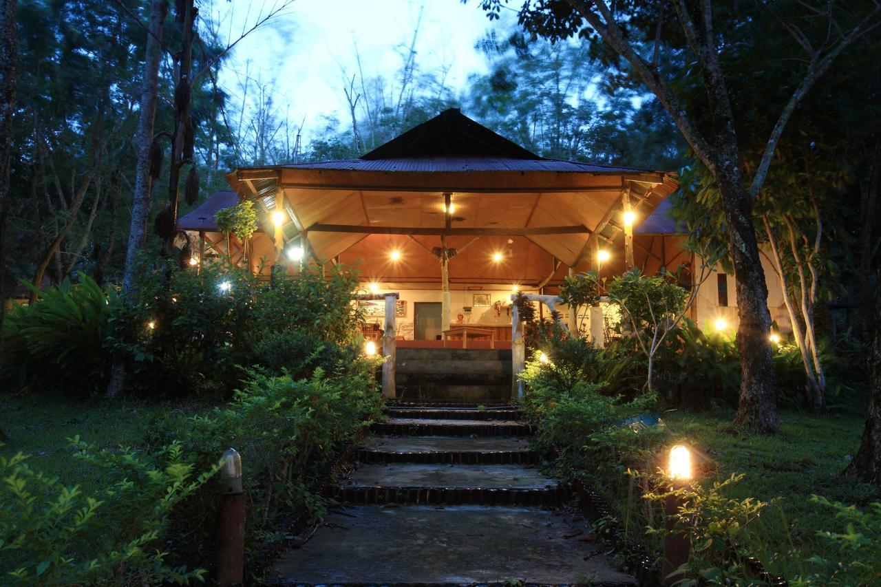 Resort Rubber Tree