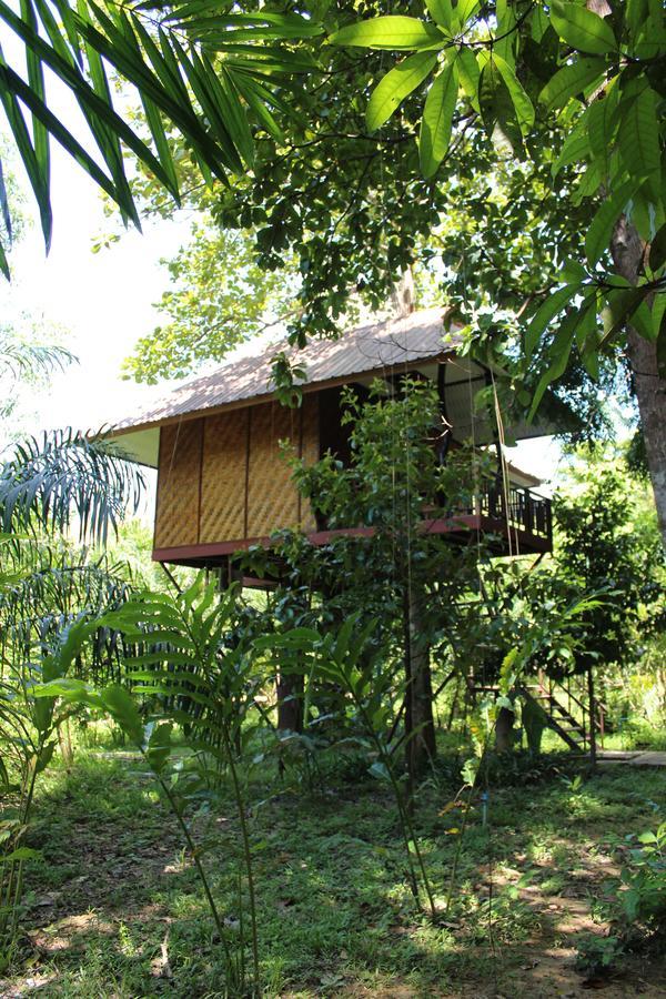 Resort Baan Khaosok Khao Sok National Park