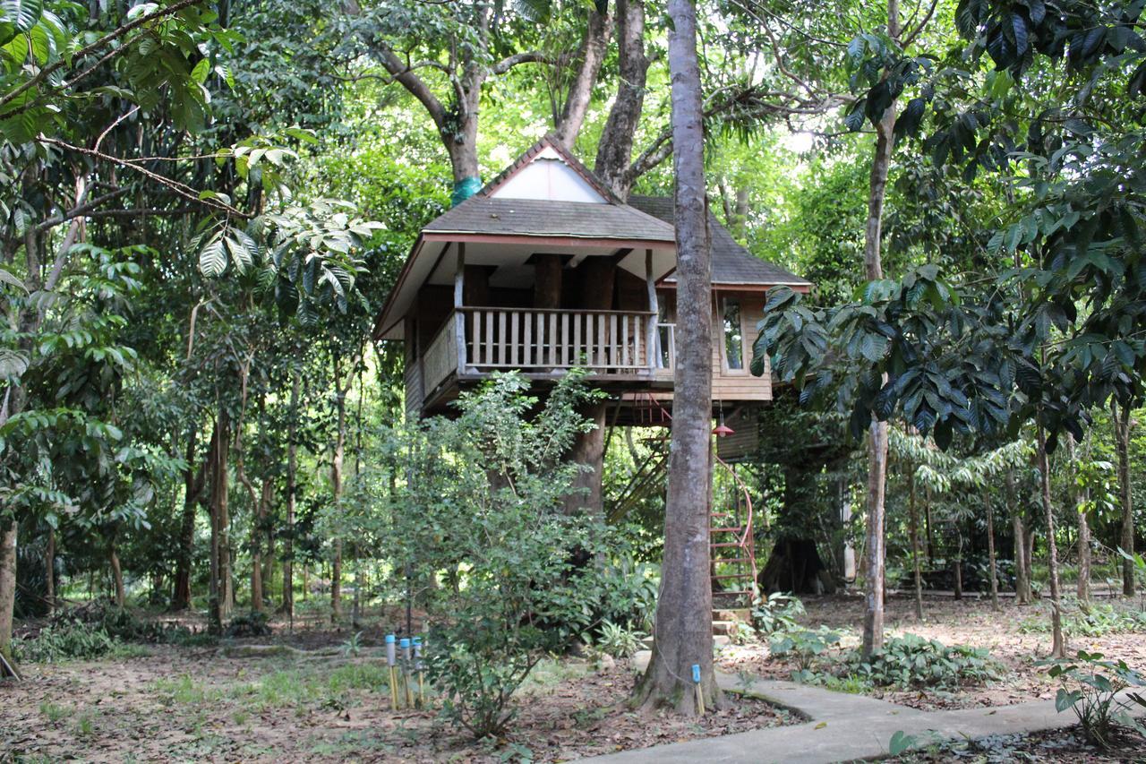 Baan Khaosok Resort Khao Sok National Park