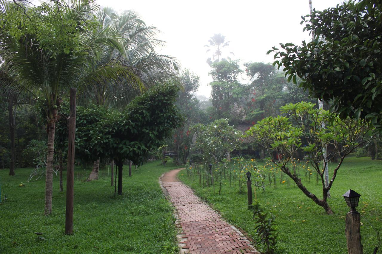 Baan Khaosok Khao Sok National Park