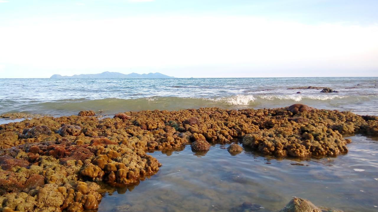 Koh Mook Hostel *