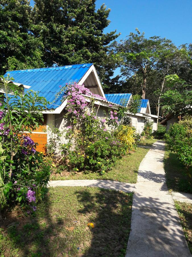 Good Morning Koh Jum