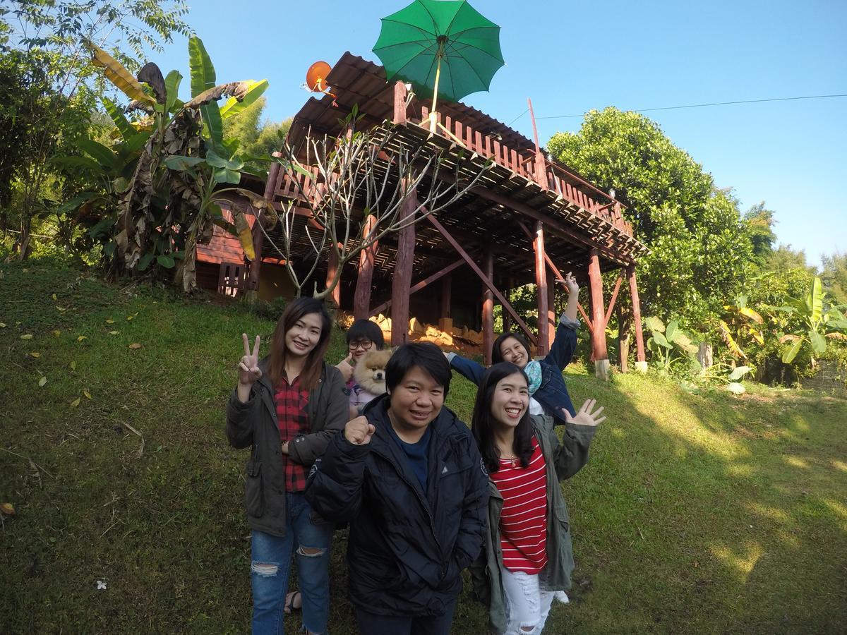 Forest 2*
