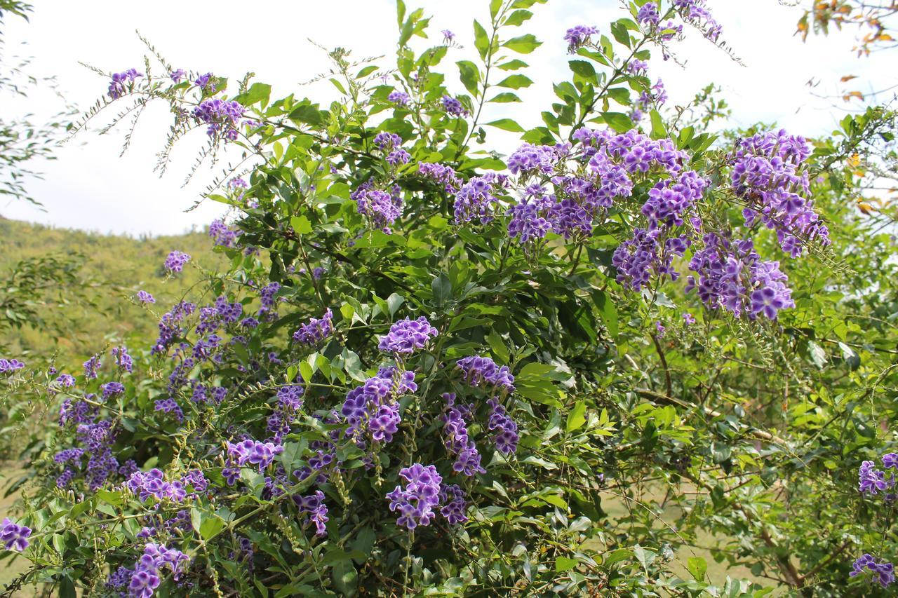 Kaengkachan Hill Ban Song Phi Nong (Petchaburi)