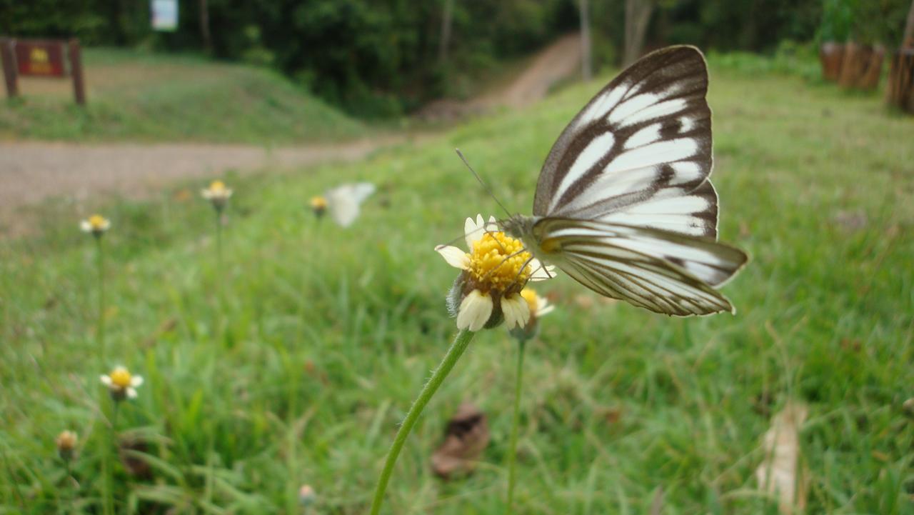 Kaengkachan Hill Homestay Ban Song Phi Nong (Petchaburi)