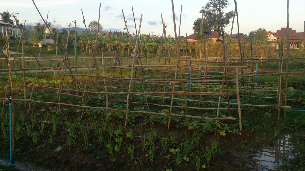 Hotel Sanctuary And Phu Ruea