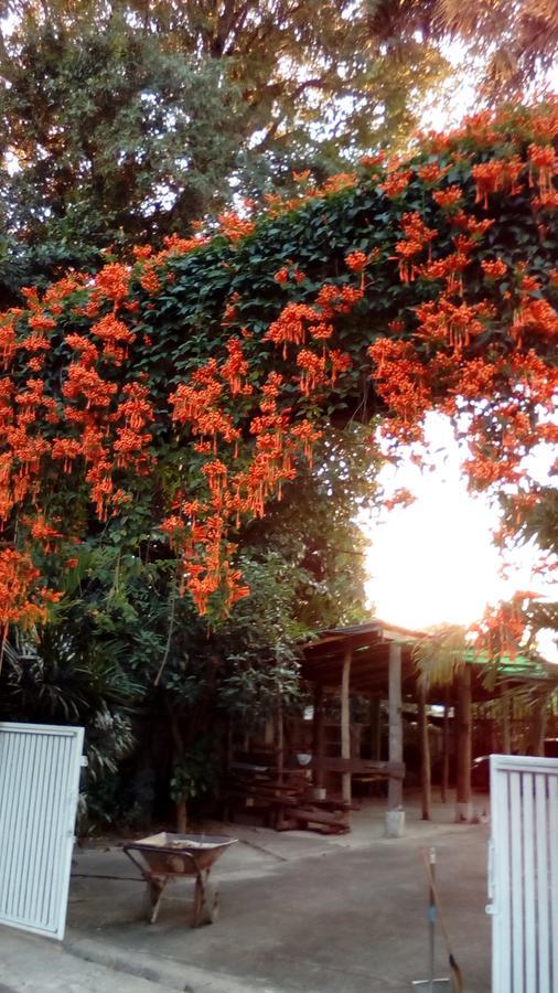 Parsakhome Guest house