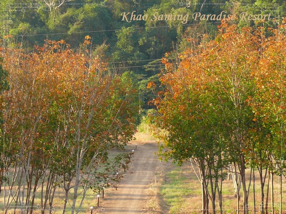 Khao Saming Paradise Trat