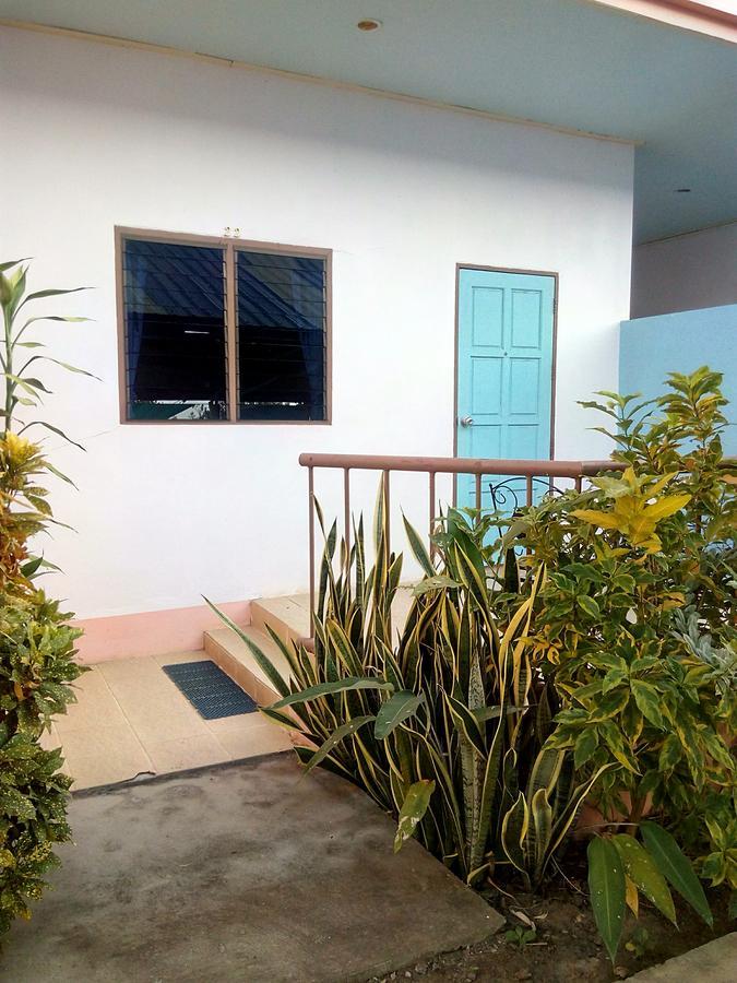 Peace Pool 2*