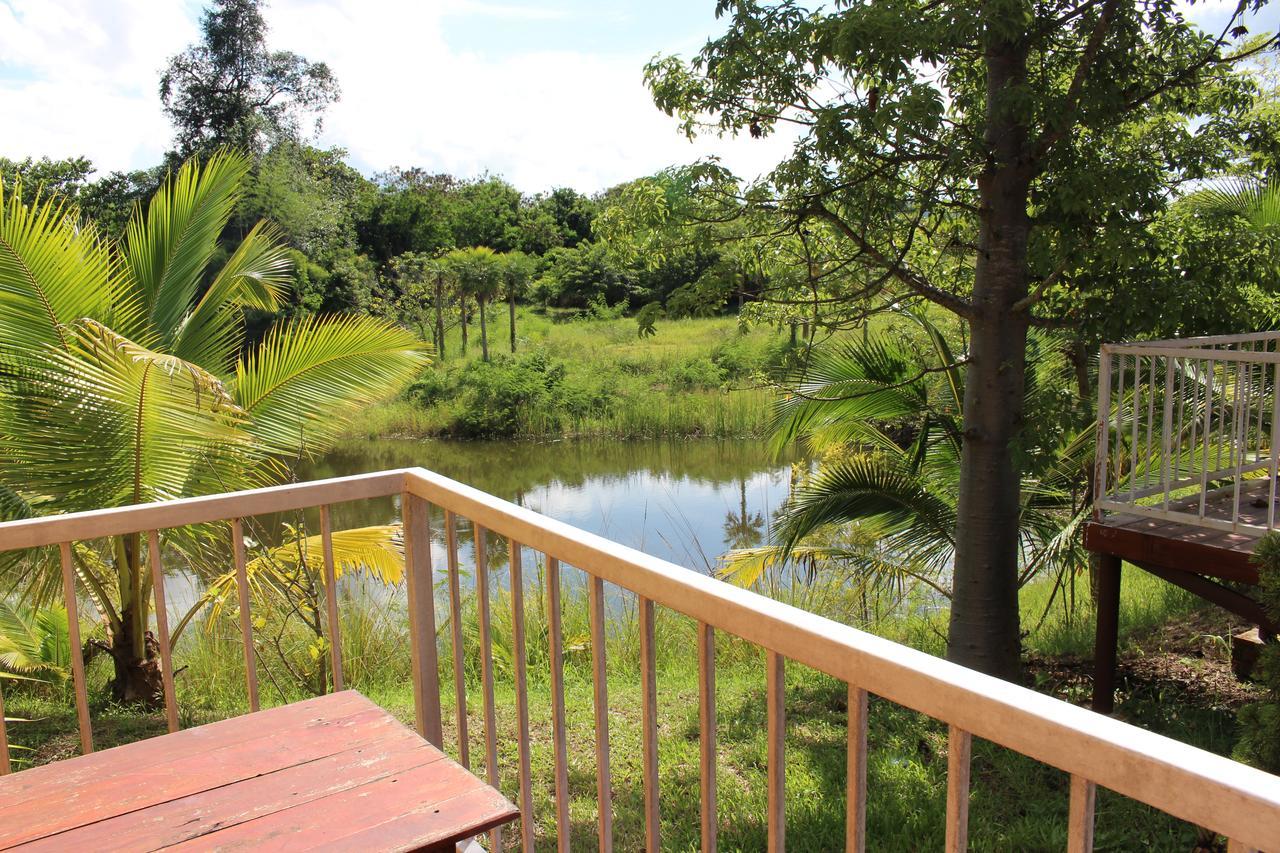 The Creek Resort 3*