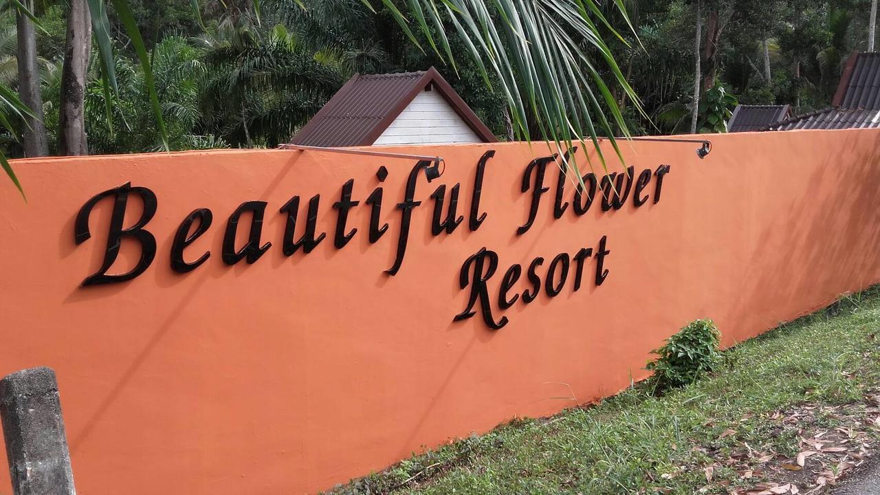Beautiful Flower