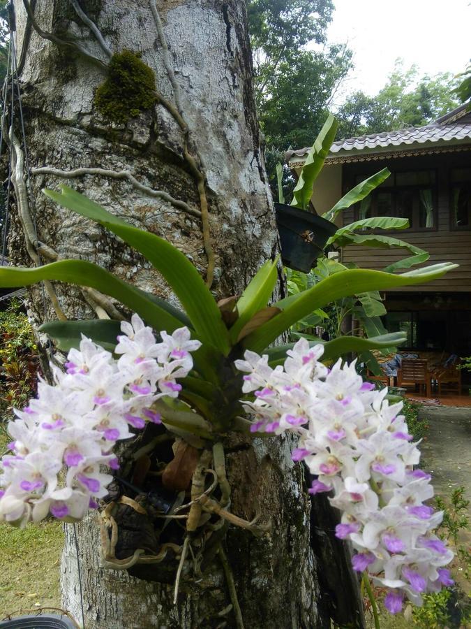 Resort Koh Kood Little Hut *