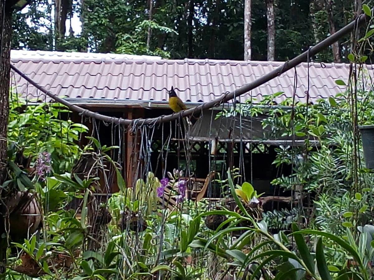 Resort Koh Kood Little Hut