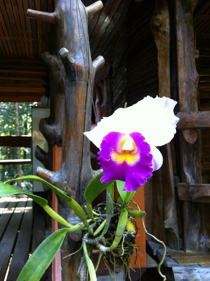 Resort Koh Kood Little Hut Ko Kut