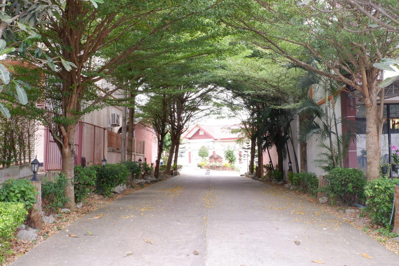 Purinplace 2*