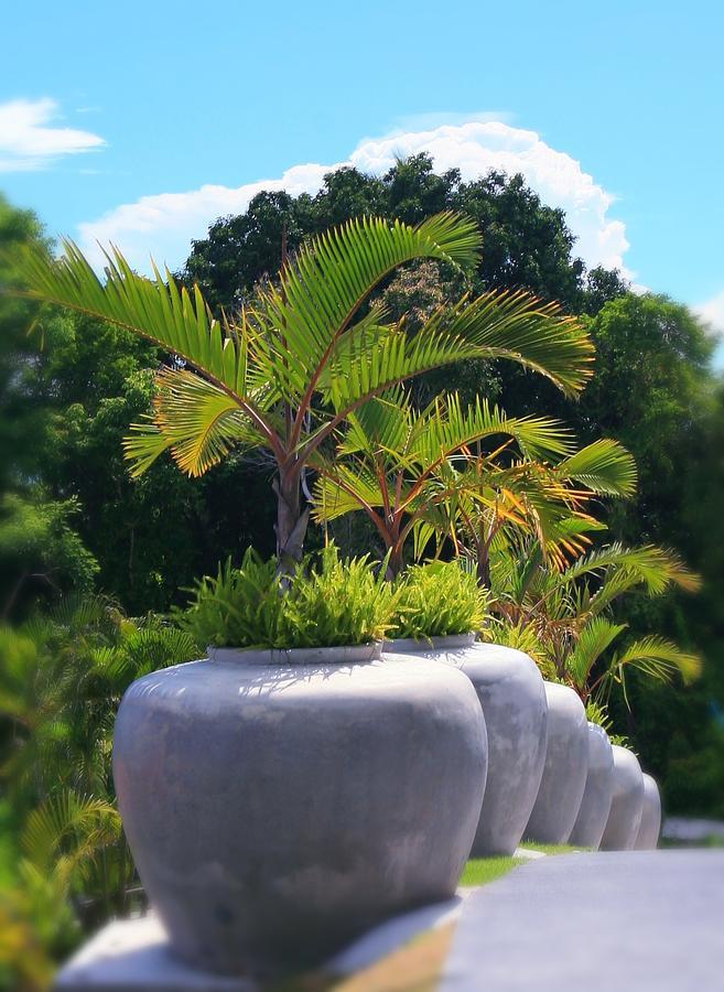 Bed & Breakfast Oasis De Madame