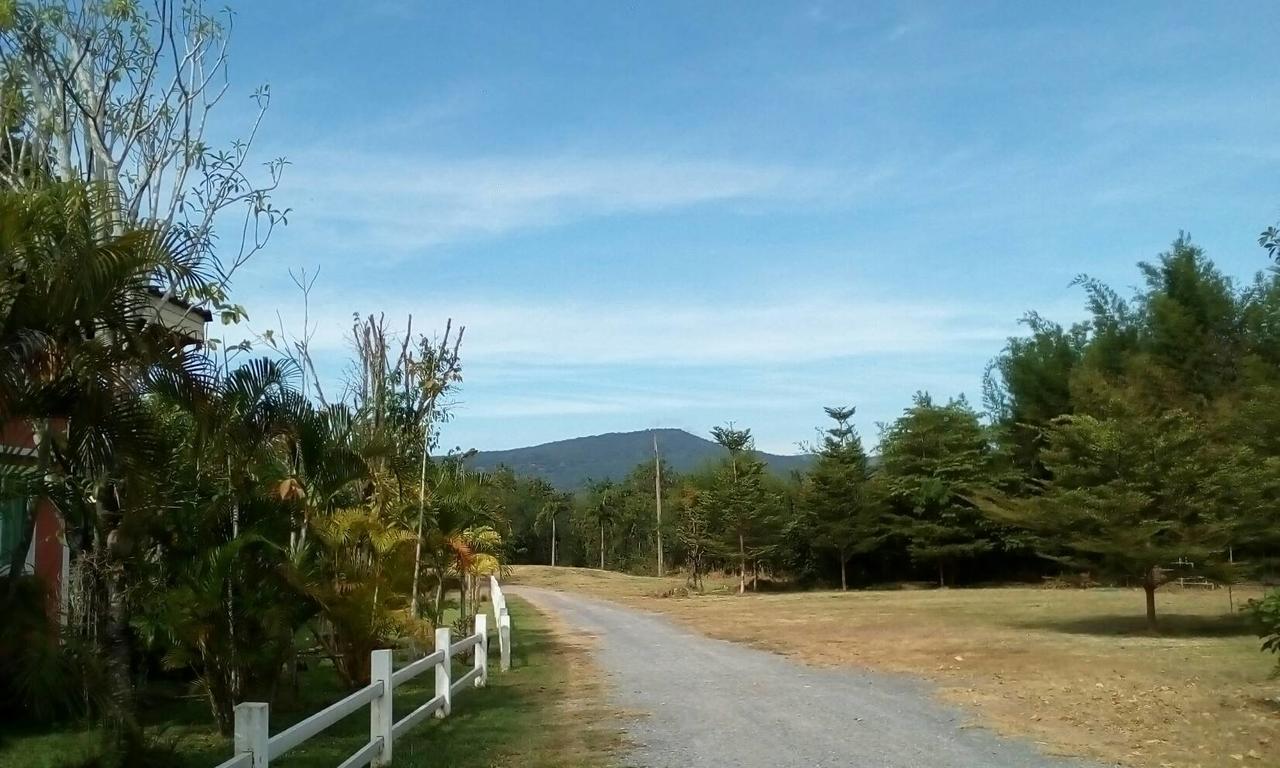The Creek