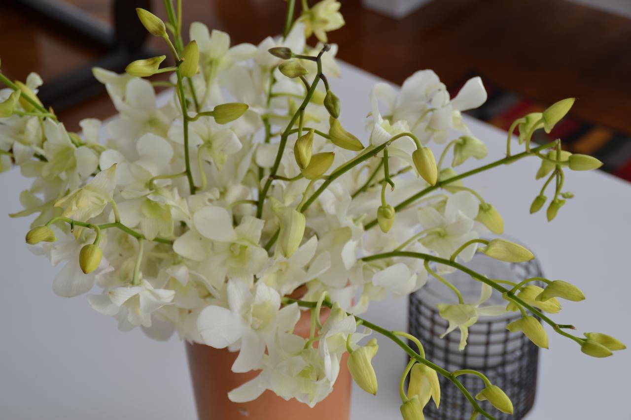 Oasis De Madame Bed & Breakfast 4*