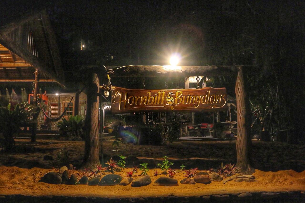 Hornbill *