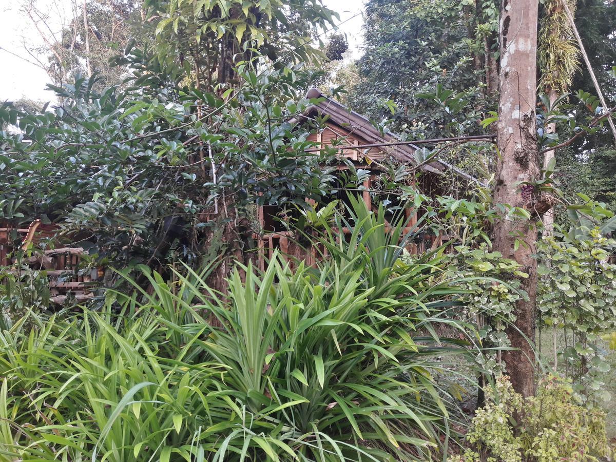 Resort Koh Kood Little Hut *