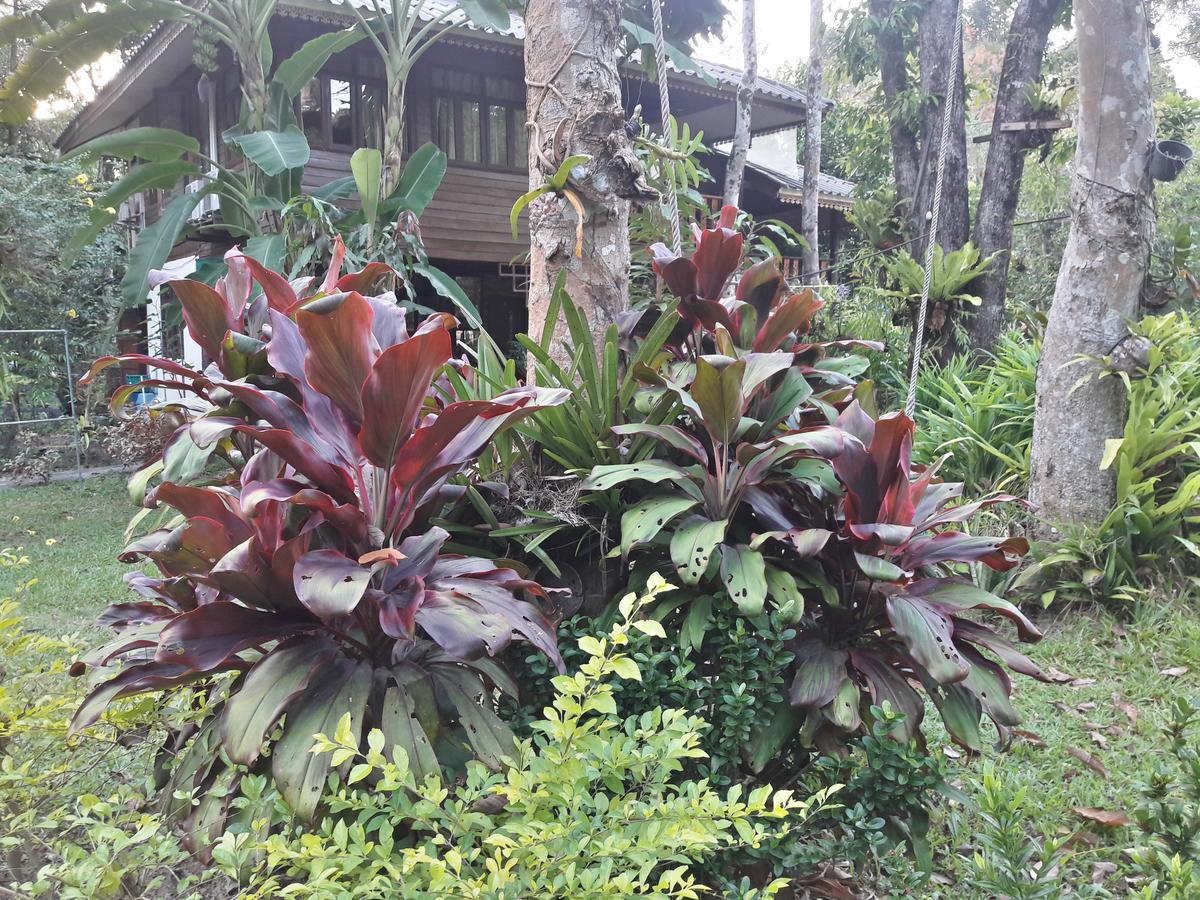 Resort Koh Kood Little Hut *