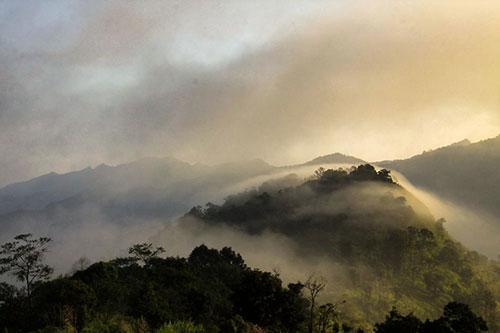Phu Mok Dok Mai Resort 2*