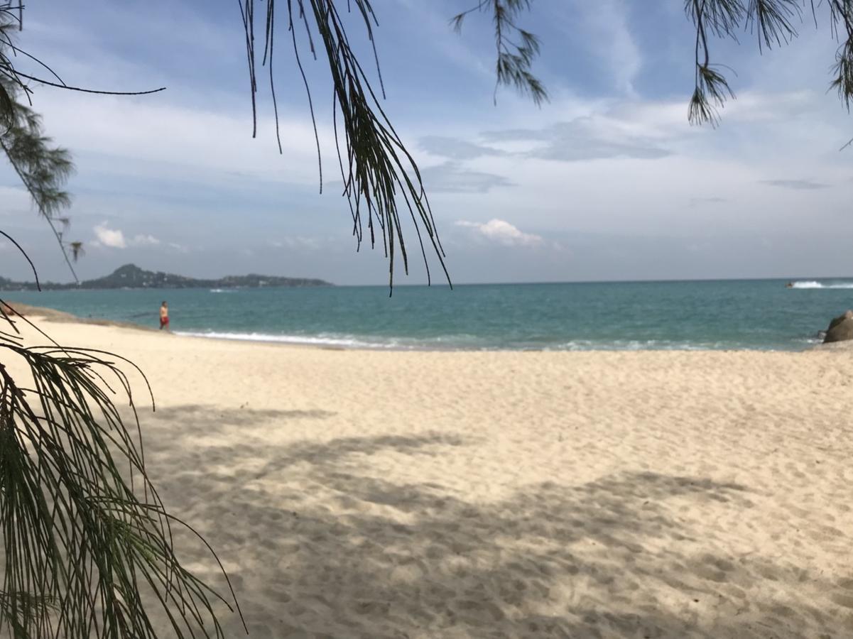 Paradise