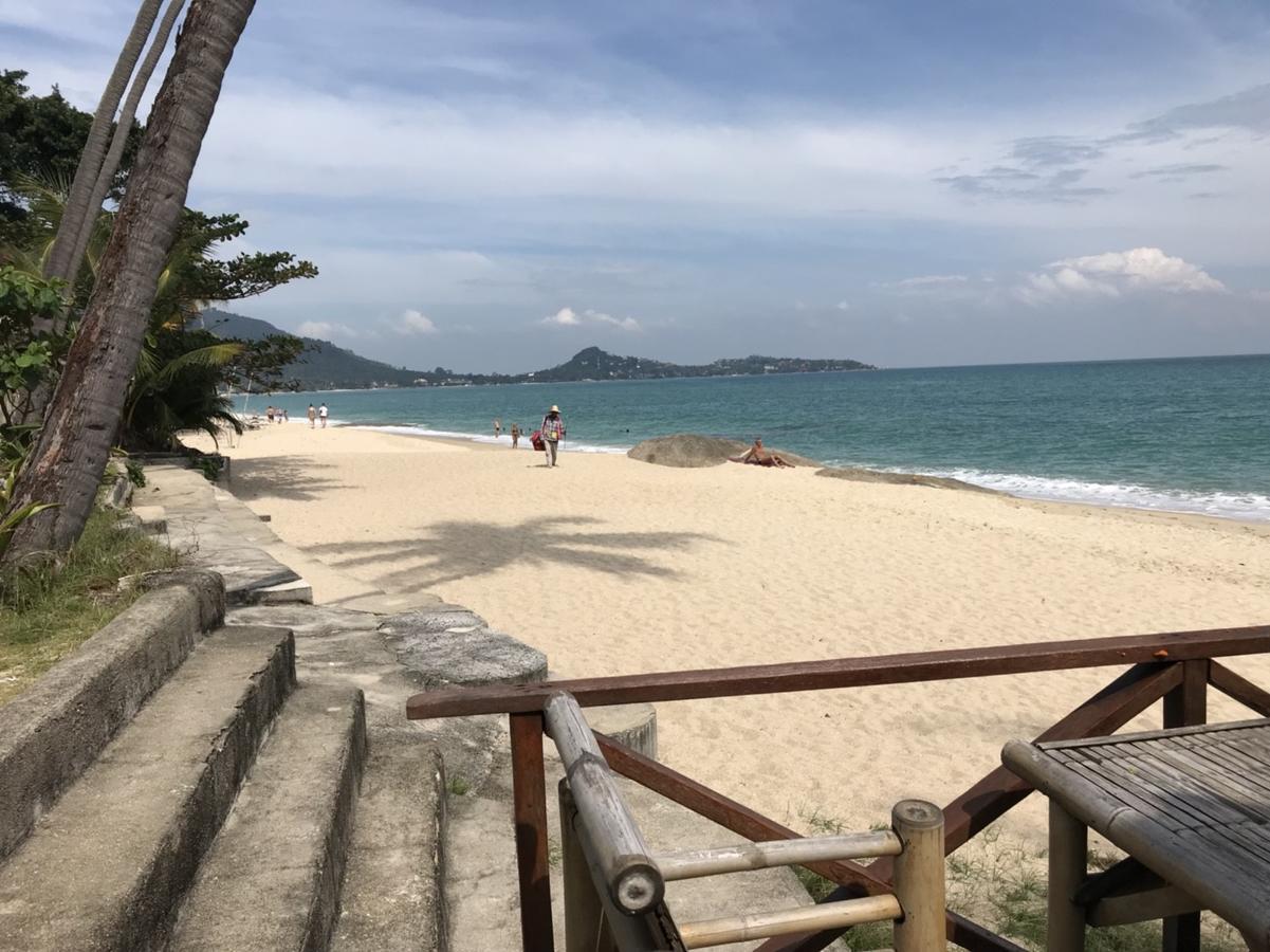 Paradise