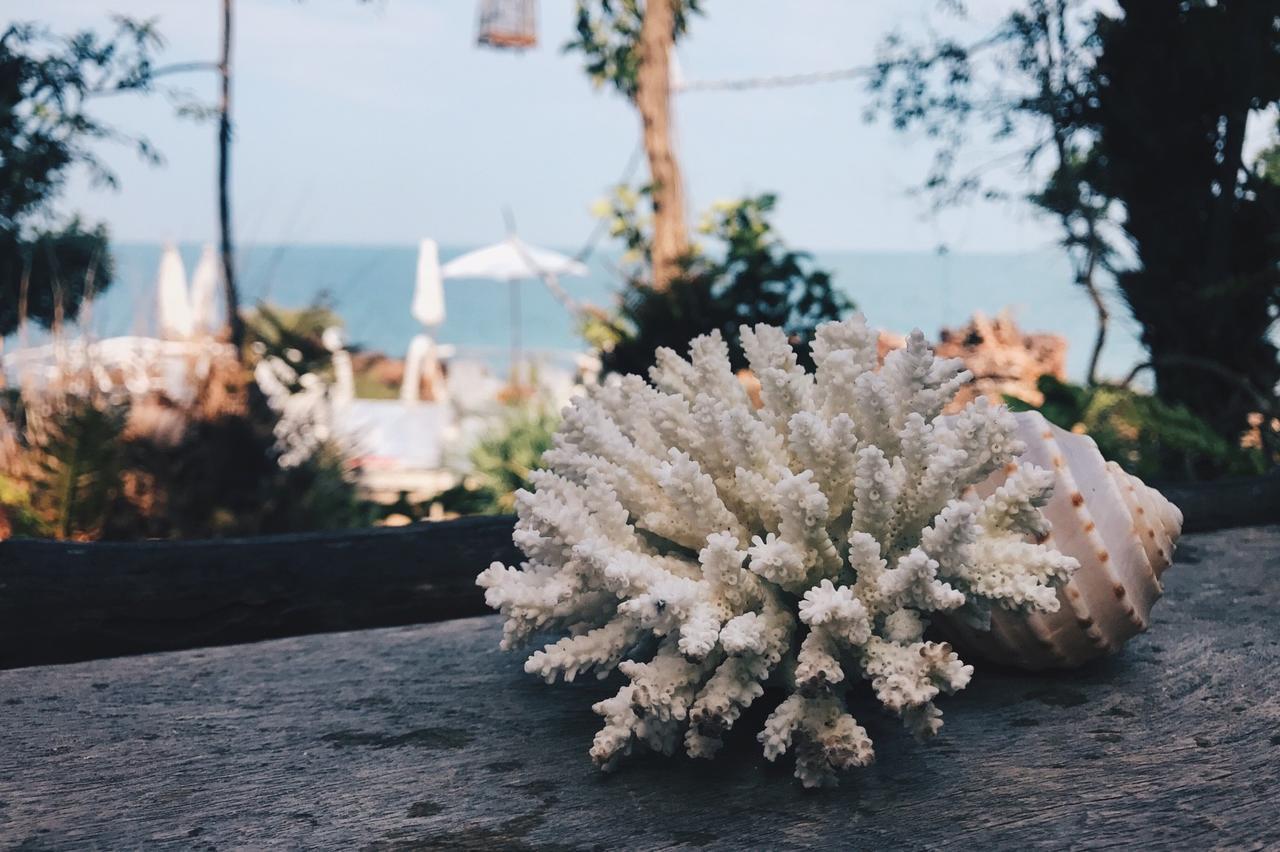 Rock View Terrace * Koh Jum