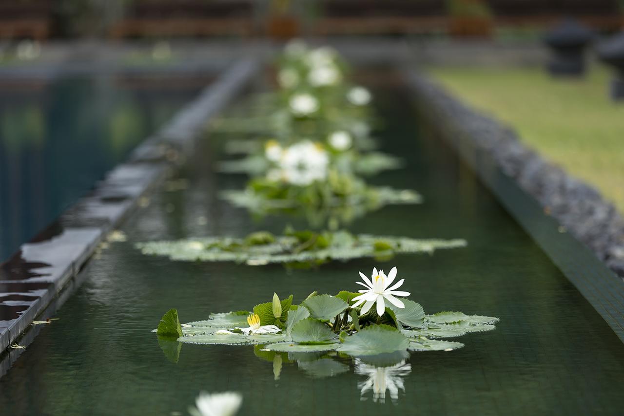Anantara Resort 5*