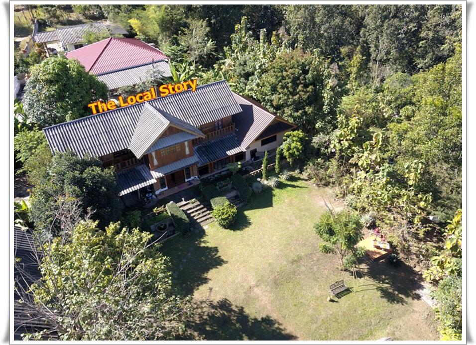 Guest house The Local Story