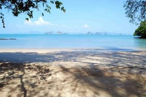 Niramaya & Wellness Resort 4*