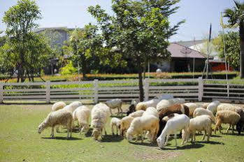 Play La Ploen Boutique And Adventure Camp Hotel 4*
