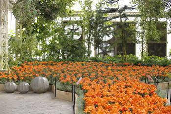 Play La Ploen Boutique And Adventure Camp Hotel 4*