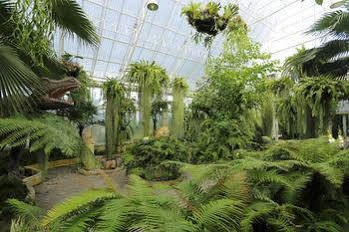 Play La Ploen Boutique And Adventure Camp