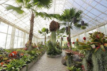 Play La Ploen Boutique And Adventure Camp Ban Nong Khaman