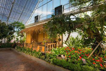 Play La Ploen Boutique And Adventure Camp Ban Nong Khaman