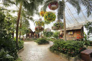 Play La Ploen Boutique And Adventure Camp