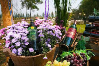 Village Farm And Winery Wang Nam Khiao