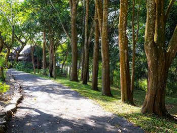 Resort Village Farm And Winery Wang Nam Khiao