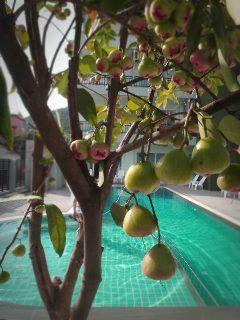 Resort Miti 2*