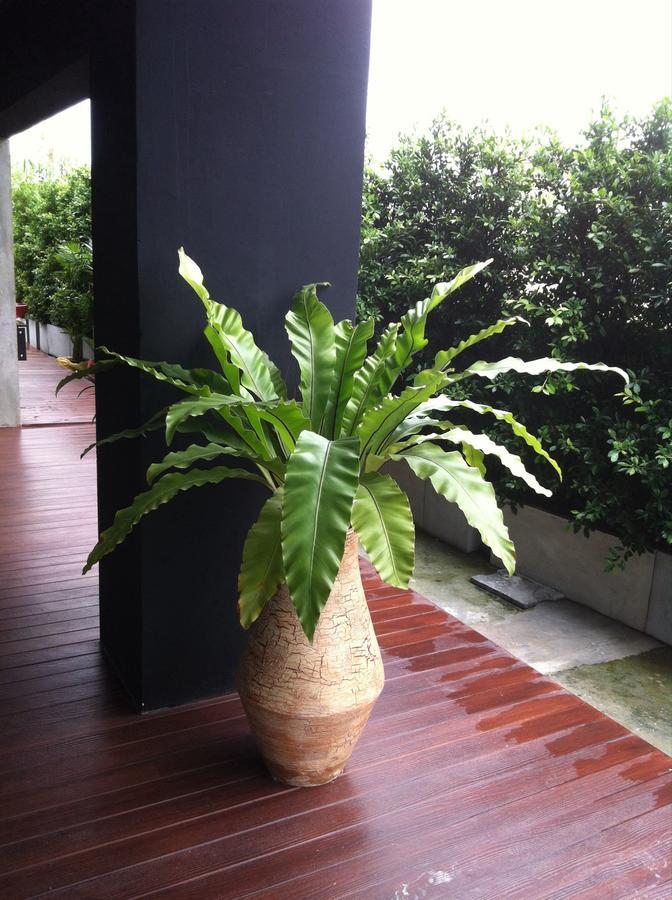 The Logbook And Cafe' Chonburi