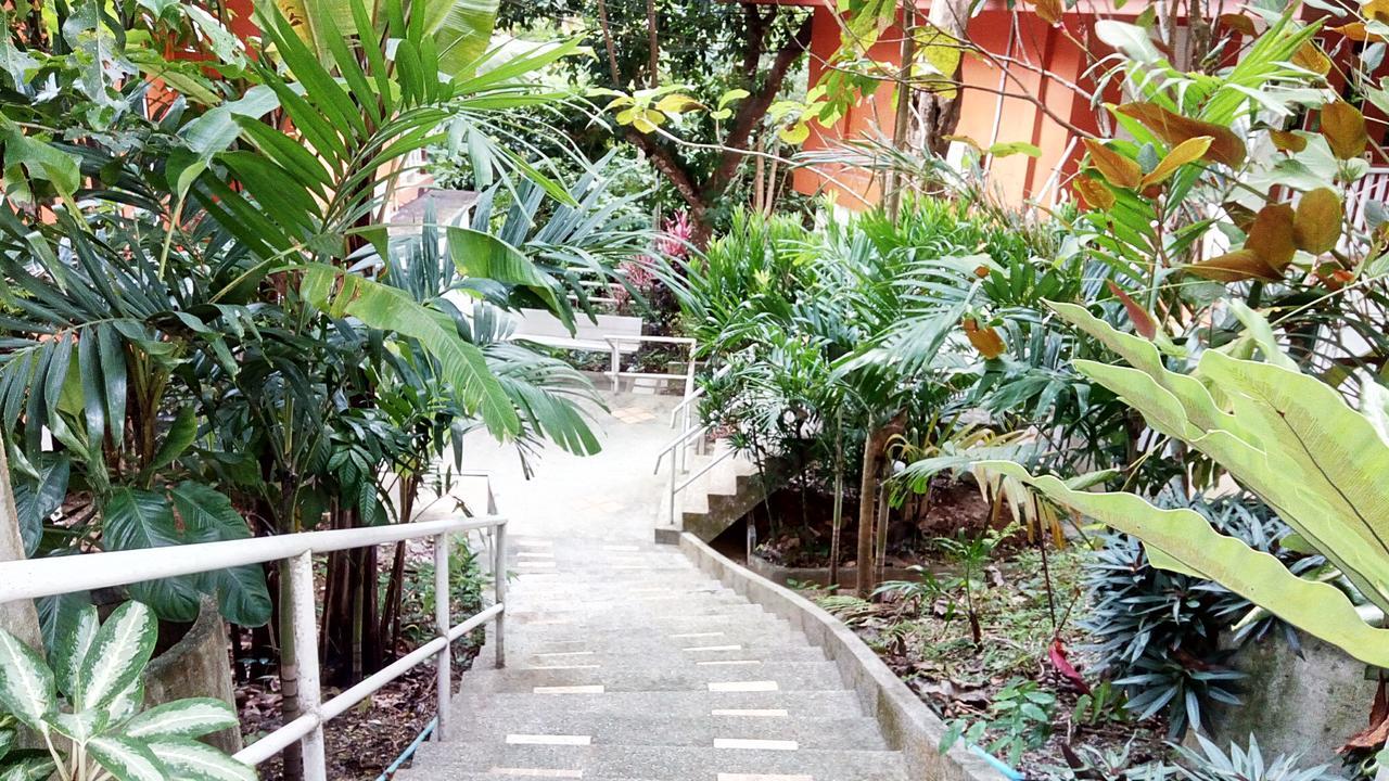 Baansuan Chongkao 2*