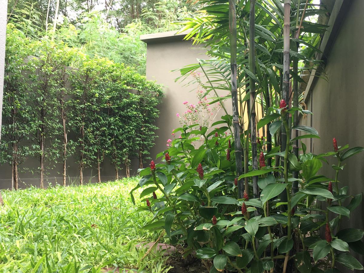Tandeaw View HHQ