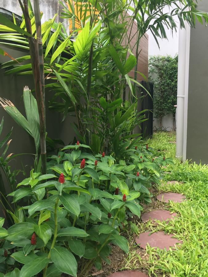 Tandeaw View 3* HHQ